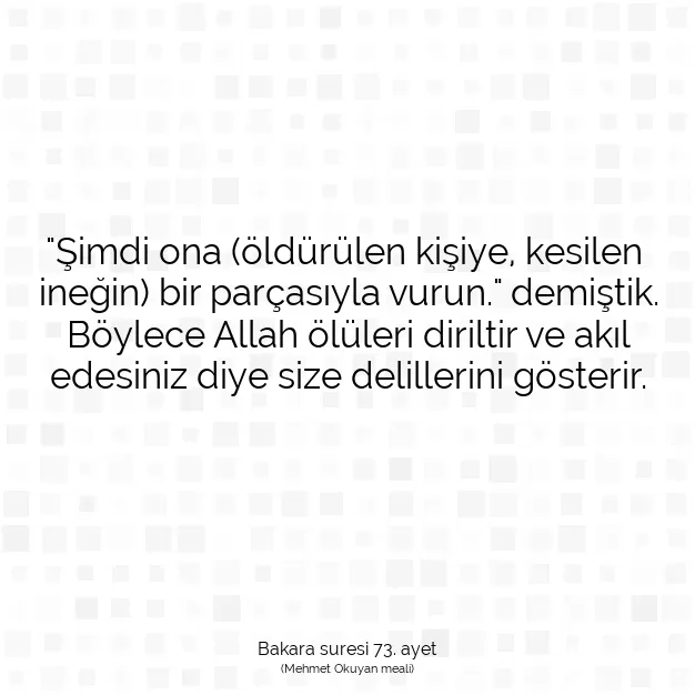 Ayetbul | Kuran Mealleri | Quran | Bakara suresi 73. ayet