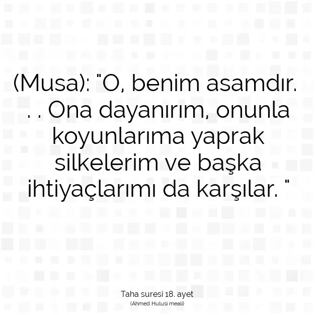 Ayetbul | Kuran Mealleri | Quran | Taha suresi 18. ayet