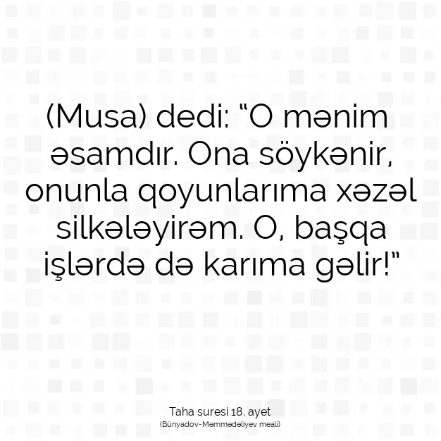 Ayetbul | Kuran Mealleri | Quran | Taha suresi 18. ayet