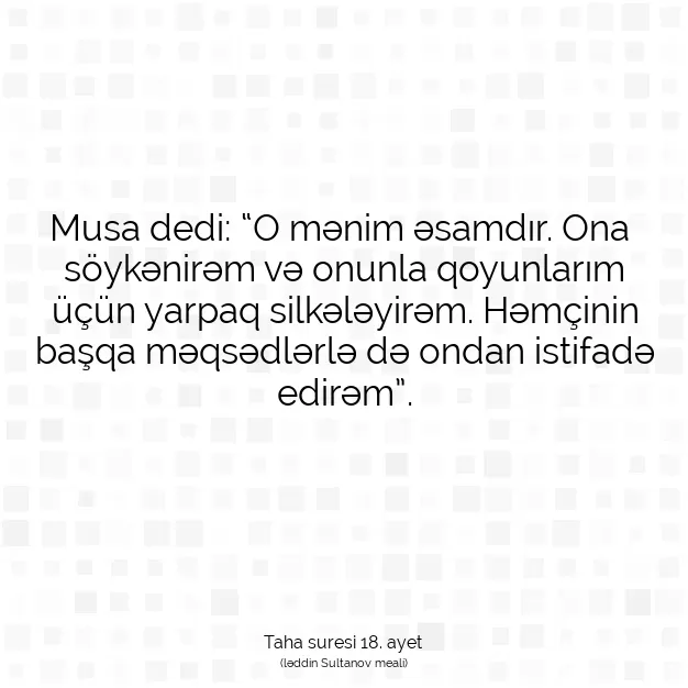 Ayetbul | Kuran Mealleri | Quran | Taha suresi 18. ayet