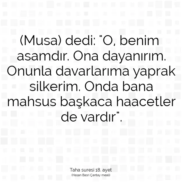 Ayetbul | Kuran Mealleri | Quran | Taha suresi 18. ayet