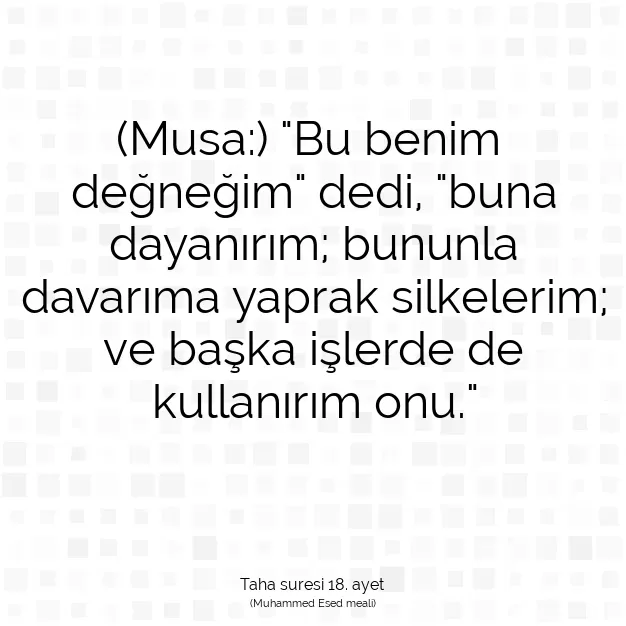 Ayetbul | Kuran Mealleri | Quran | Taha suresi 18. ayet