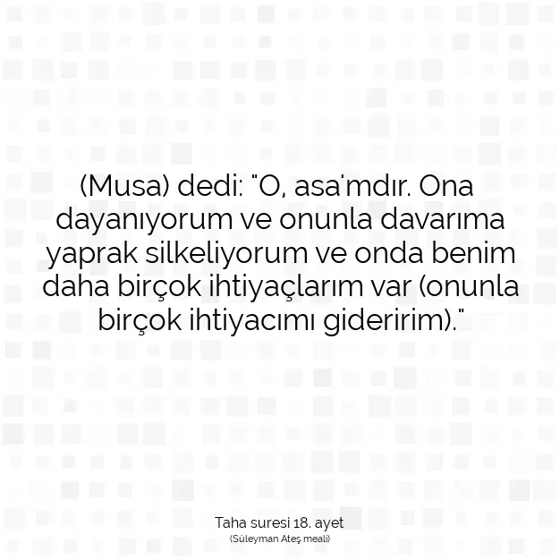 Ayetbul | Kuran Mealleri | Quran | Taha suresi 18. ayet