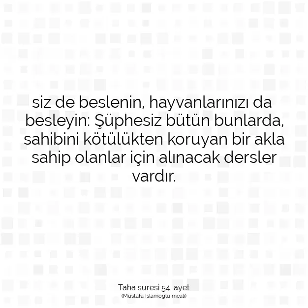 Ayetbul | Kuran Mealleri | Quran | Taha suresi 54. ayet