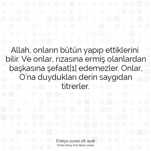 Ayetbul | Kuran Mealleri | Quran | Enbiya suresi 28. ayet