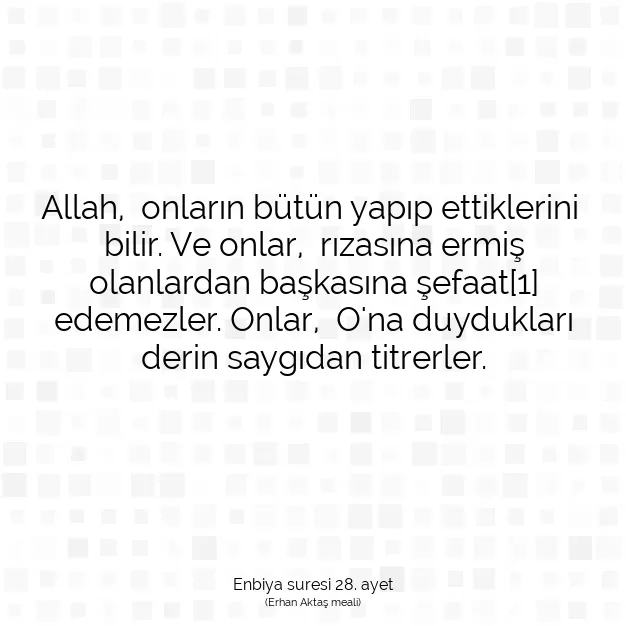 Ayetbul | Kuran Mealleri | Quran | Enbiya suresi 28. ayet