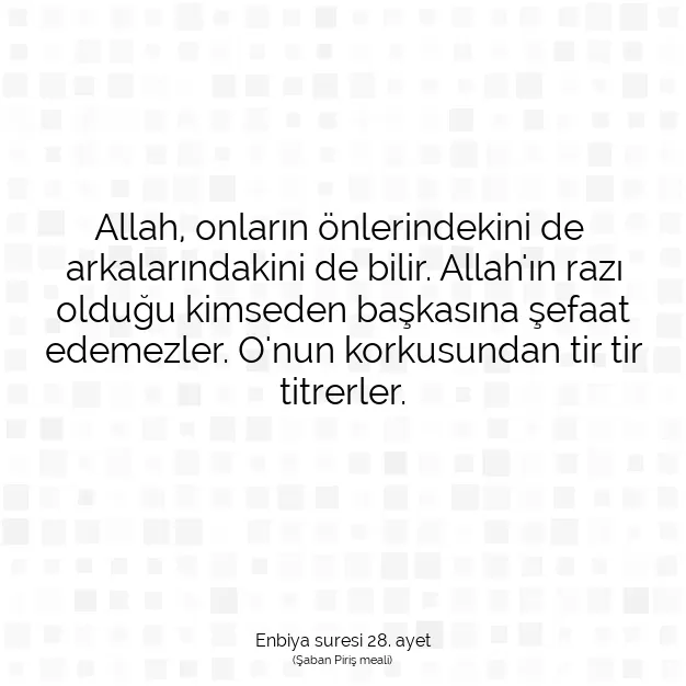 Ayetbul | Kuran Mealleri | Quran | Enbiya suresi 28. ayet