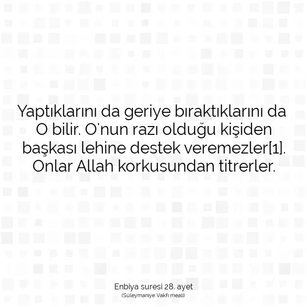 Ayetbul | Kuran Mealleri | Quran | Enbiya suresi 28. ayet