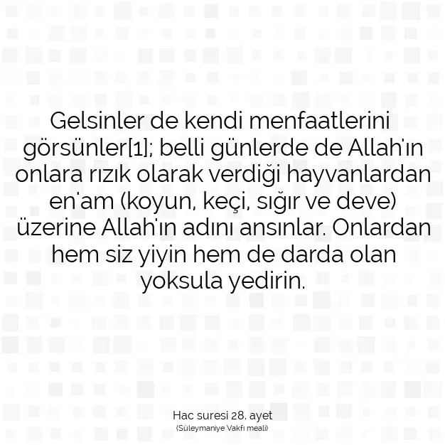 Ayetbul | Kuran Mealleri | Quran | Hac suresi 28. ayet