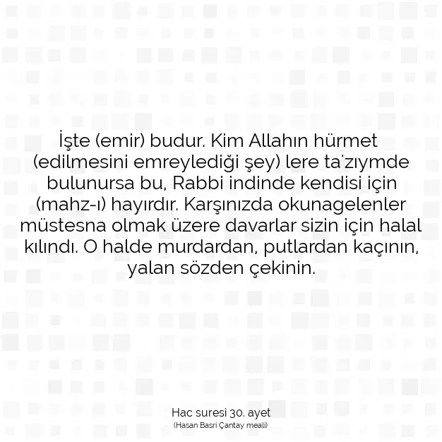 Ayetbul | Kuran Mealleri | Quran | Hac suresi 30. ayet