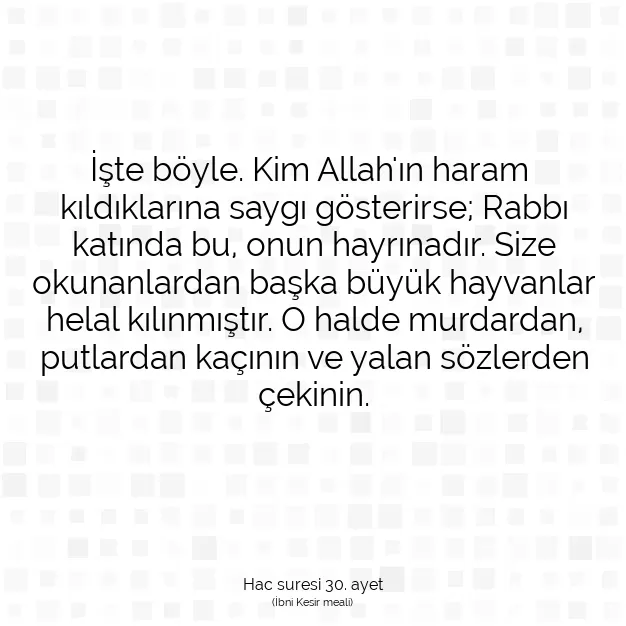 Ayetbul | Kuran Mealleri | Quran | Hac suresi 30. ayet