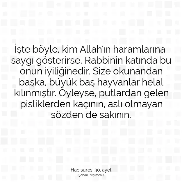 Ayetbul | Kuran Mealleri | Quran | Hac suresi 30. ayet