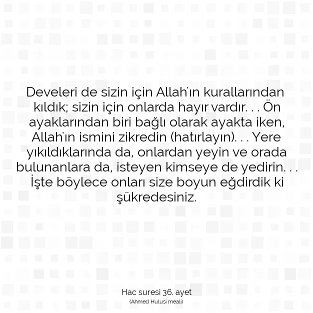 Ayetbul | Kuran Mealleri | Quran | Hac suresi 36. ayet