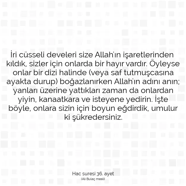 Ayetbul | Kuran Mealleri | Quran | Hac suresi 36. ayet