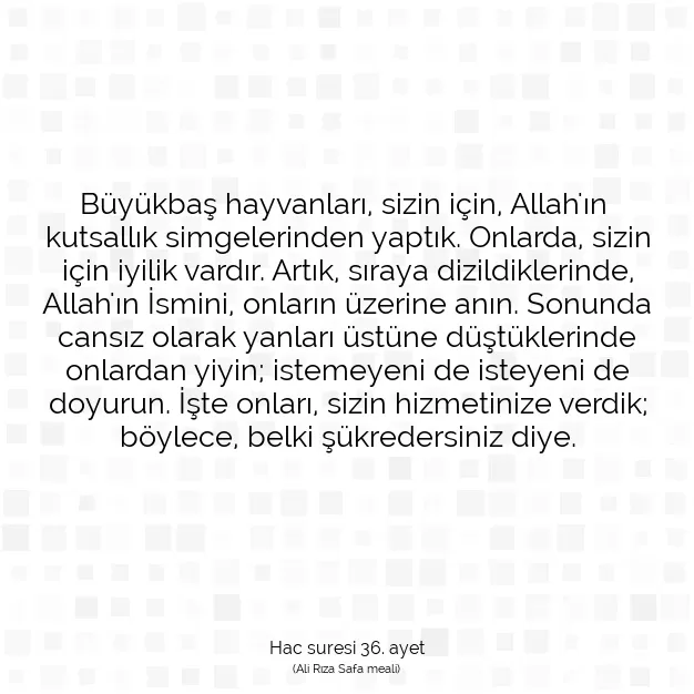 Ayetbul | Kuran Mealleri | Quran | Hac suresi 36. ayet