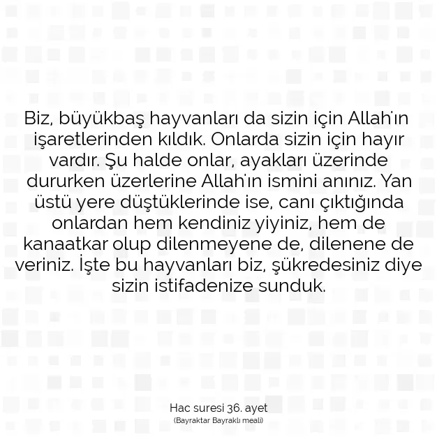 Ayetbul | Kuran Mealleri | Quran | Hac suresi 36. ayet