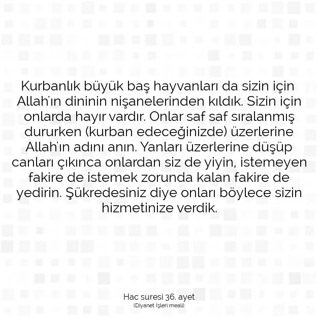 Ayetbul | Kuran Mealleri | Quran | Hac suresi 36. ayet