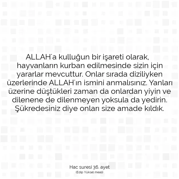 Ayetbul | Kuran Mealleri | Quran | Hac suresi 36. ayet