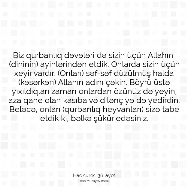 Ayetbul | Kuran Mealleri | Quran | Hac suresi 36. ayet