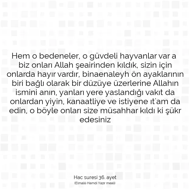 Ayetbul | Kuran Mealleri | Quran | Hac suresi 36. ayet