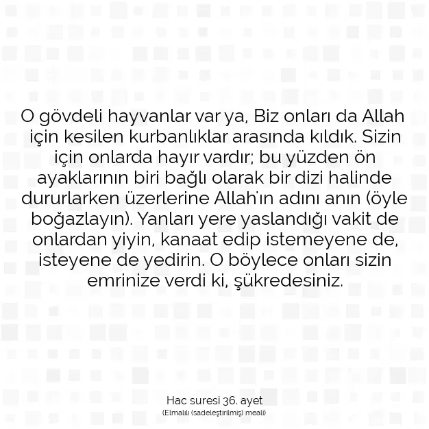 Ayetbul | Kuran Mealleri | Quran | Hac suresi 36. ayet