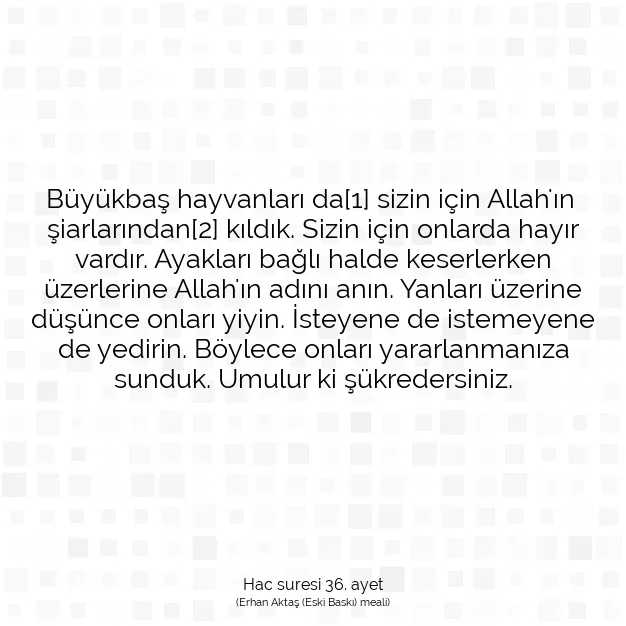 Ayetbul | Kuran Mealleri | Quran | Hac suresi 36. ayet