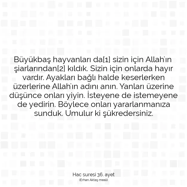 Ayetbul | Kuran Mealleri | Quran | Hac suresi 36. ayet