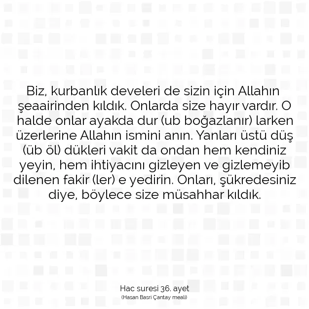 Ayetbul | Kuran Mealleri | Quran | Hac suresi 36. ayet