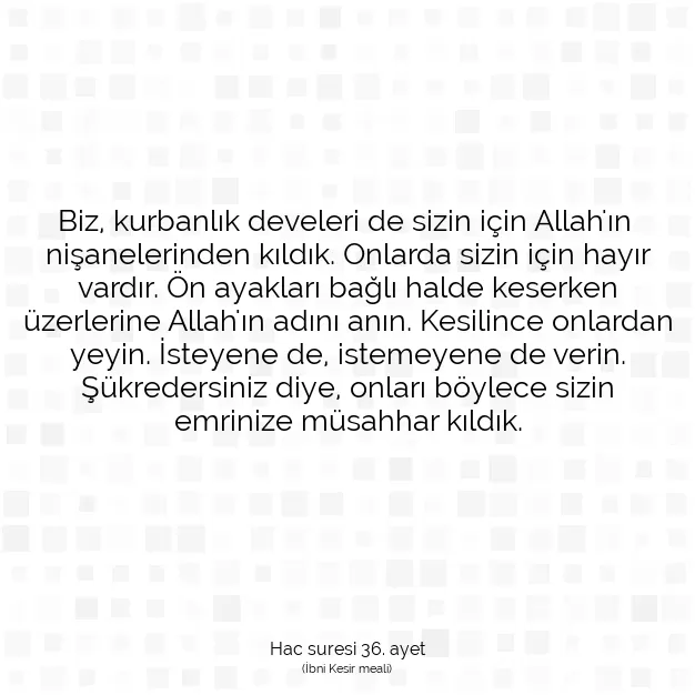 Ayetbul | Kuran Mealleri | Quran | Hac suresi 36. ayet