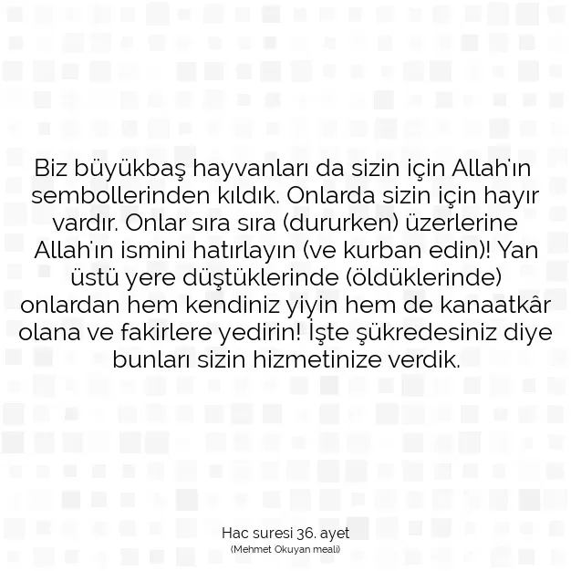 Ayetbul | Kuran Mealleri | Quran | Hac suresi 36. ayet