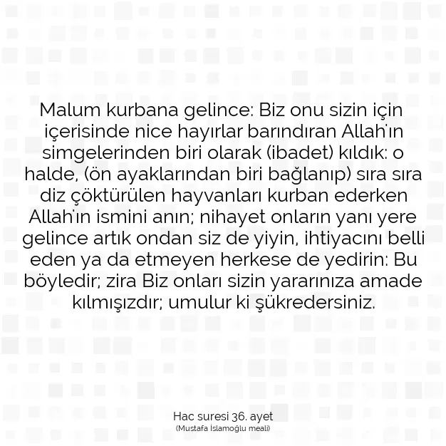 Ayetbul | Kuran Mealleri | Quran | Hac suresi 36. ayet