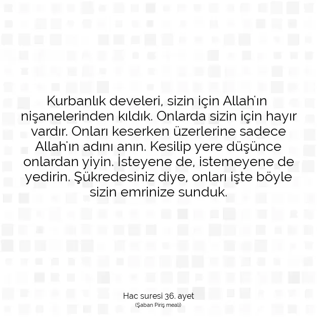 Ayetbul | Kuran Mealleri | Quran | Hac suresi 36. ayet