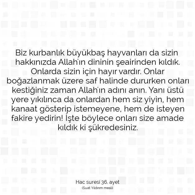 Ayetbul | Kuran Mealleri | Quran | Hac suresi 36. ayet