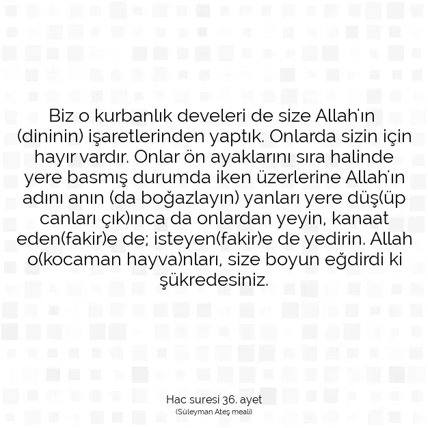 Ayetbul | Kuran Mealleri | Quran | Hac suresi 36. ayet