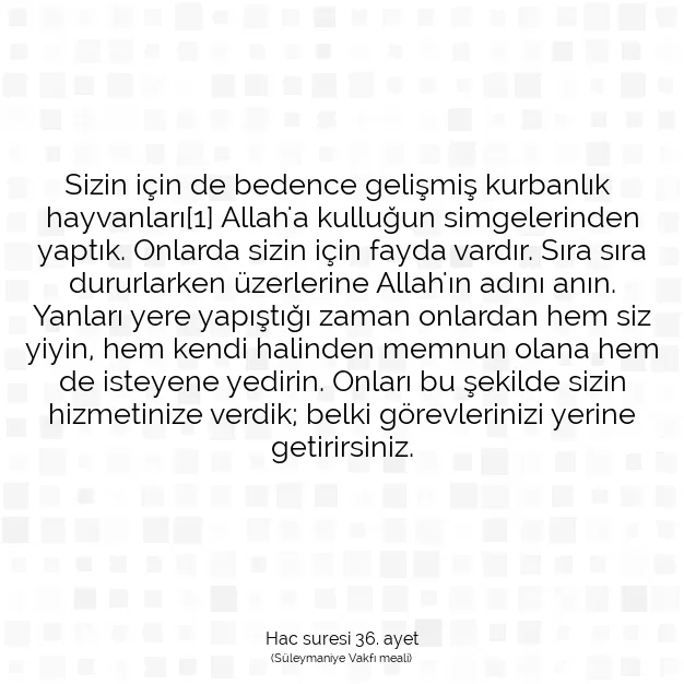 Ayetbul | Kuran Mealleri | Quran | Hac suresi 36. ayet