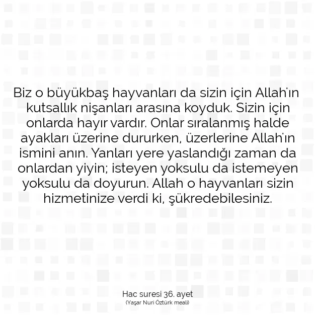 Ayetbul | Kuran Mealleri | Quran | Hac suresi 36. ayet