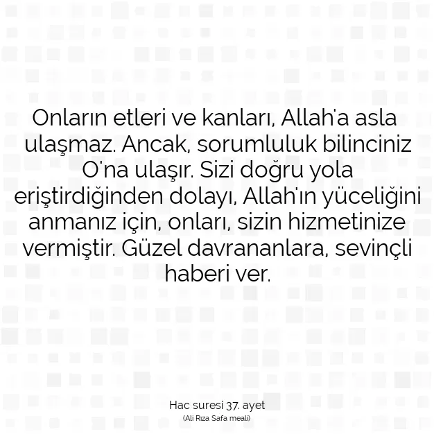 Ayetbul | Kuran Mealleri | Quran | Hac suresi 37. ayet