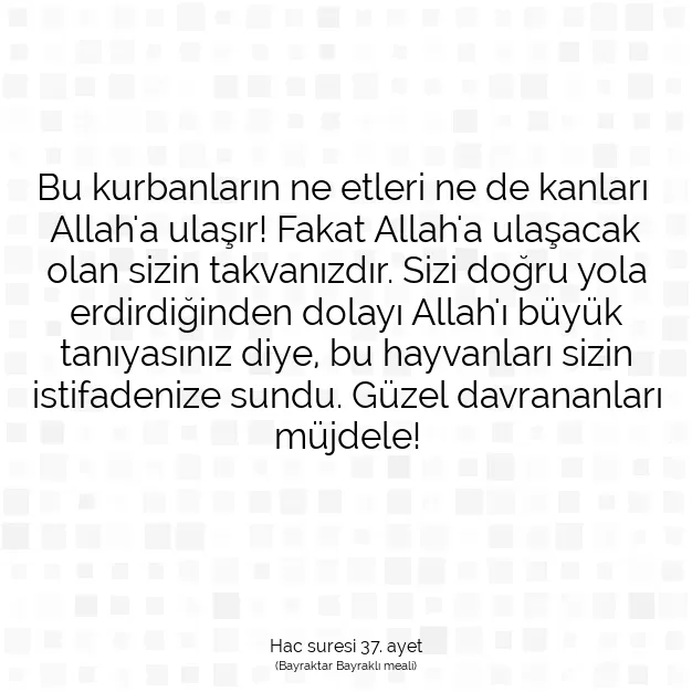 Ayetbul | Kuran Mealleri | Quran | Hac suresi 37. ayet