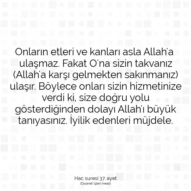 Ayetbul | Kuran Mealleri | Quran | Hac suresi 37. ayet