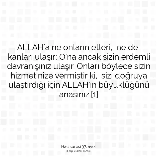 Ayetbul | Kuran Mealleri | Quran | Hac suresi 37. ayet