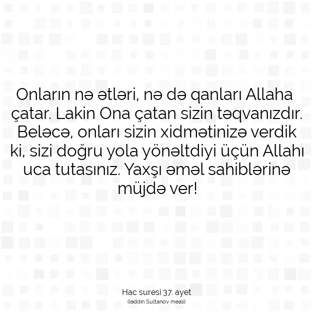 Ayetbul | Kuran Mealleri | Quran | Hac suresi 37. ayet