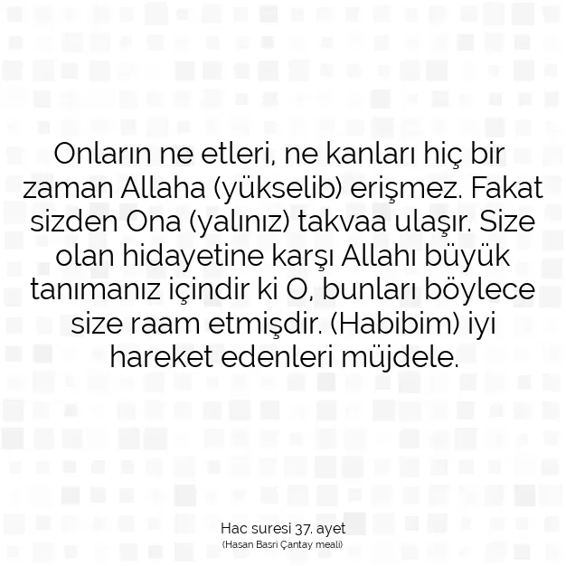 Ayetbul | Kuran Mealleri | Quran | Hac suresi 37. ayet