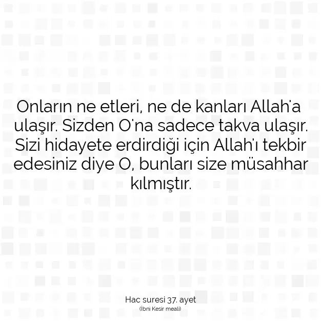 Ayetbul | Kuran Mealleri | Quran | Hac suresi 37. ayet