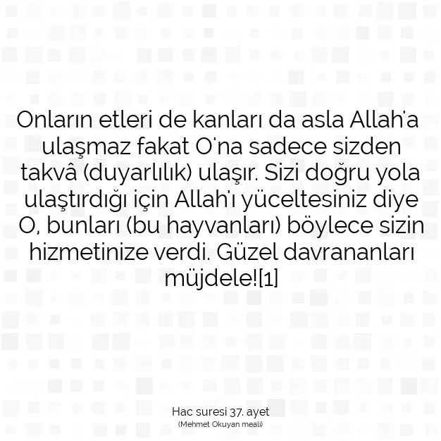 Ayetbul | Kuran Mealleri | Quran | Hac suresi 37. ayet