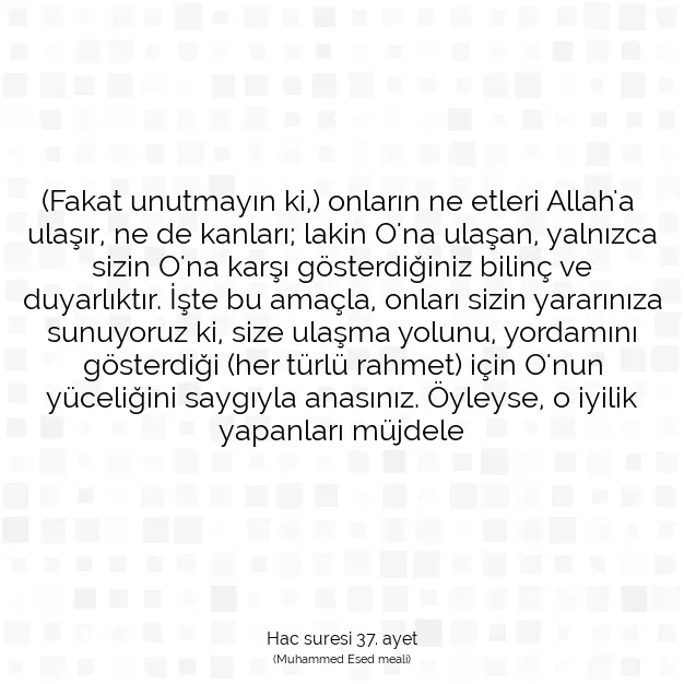 Ayetbul | Kuran Mealleri | Quran | Hac suresi 37. ayet