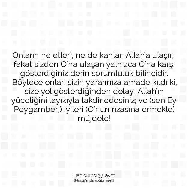 Ayetbul | Kuran Mealleri | Quran | Hac suresi 37. ayet