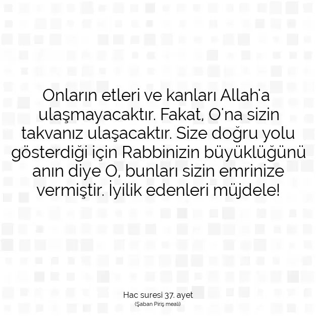 Ayetbul | Kuran Mealleri | Quran | Hac suresi 37. ayet