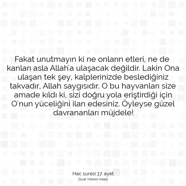 Ayetbul | Kuran Mealleri | Quran | Hac suresi 37. ayet