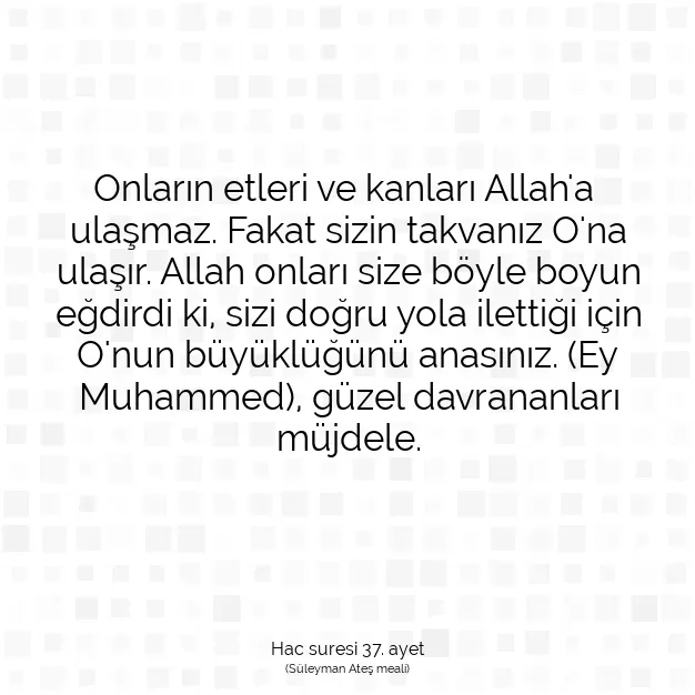 Ayetbul | Kuran Mealleri | Quran | Hac suresi 37. ayet