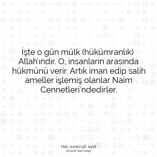 Ayetbul | Kuran Mealleri | Quran | Hac suresi 56. ayet